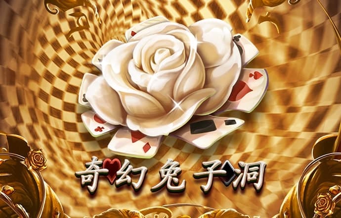 3y体育网站进入